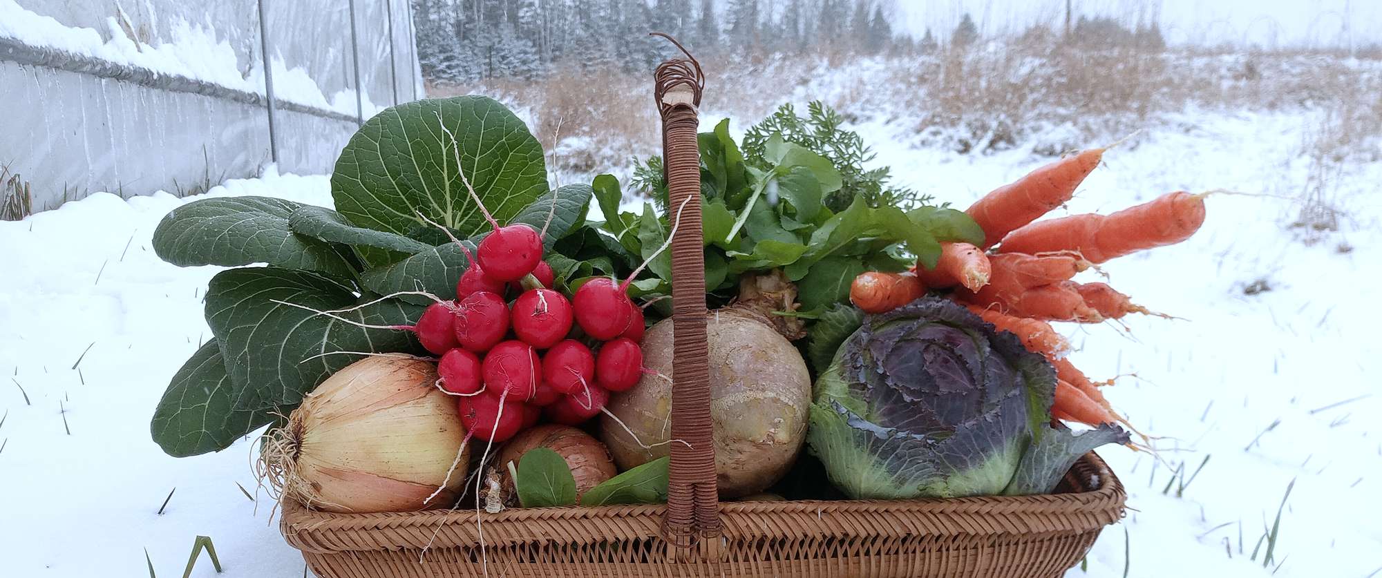 Panier de légumes d'hiver